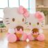 Hello Kitty Plush Dolls 6